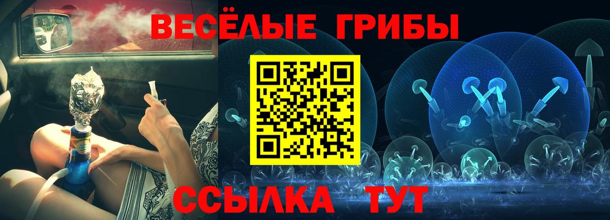 Галлюциногенные грибы Cubensis  Вход с VPN  Абакан  Псилоцибиновые грибы MAGIC MUSHROOMS 